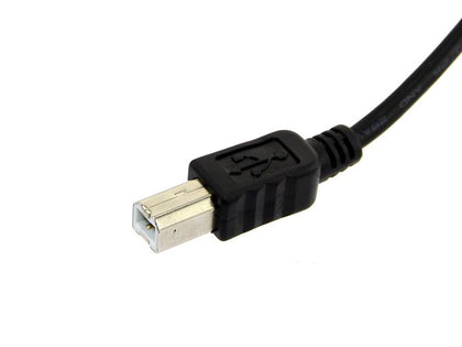 usb-cable-type-a-to-b-30cm-black-2