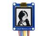 1.3 inch black and white memory LCD display 144x168 resolution