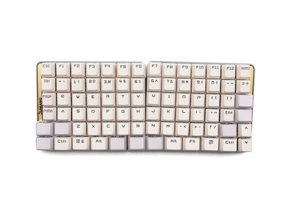 dumang-mini-mechanical-keyboard-with-magnet-custom-value-and-macro-full-size-1